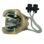 Acer EC.J2901.001 Osram Projector Bare Lamp