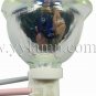 ACTO 33001685 Phoenix Projector Bare Lamp