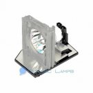 EC.J1001.001 Replacement Lamp for Acer Projectors EC.J1001.001 Replacement Lamp for Acer Projectors