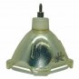 Anders Kern (A+K) AKLMP1821 Philips Projector Bare Lamp