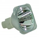 Eiki P8384-1014 Osram Projector Bare Lamp