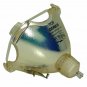 Original Osram Bare Projector Lamp for Infocus SP-LAMP-008