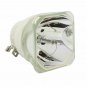 NEC NP17LP-UM Ushio Projector Bare Lamp