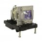 Digital Projection 112-531 Philips Projector Lamp Module