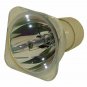 Planar 997-3443-00 Philips Projector Bare Lamp