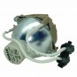 Optoma BL-FP130A Osram Projector Bare Lamp