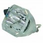 Optoma BL-FP180A Osram Projector Bare Lamp