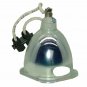 Optoma BL-FP180A Osram Projector Bare Lamp