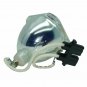 Optoma BL-FP180A Osram Projector Bare Lamp