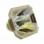 Original Ushio Bare Projector Lamp for Infocus SP-LAMP-011