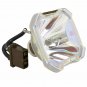 NEC GT95LP Ushio Projector Bare Lamp