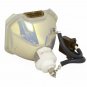NEC GT95LP Ushio Projector Bare Lamp