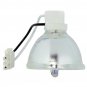 BenQ 5J.J0A05.001 Phoenix Projector Bare Lamp