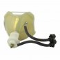 NEC GT60LP Ushio Projector Bare Lamp