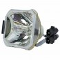 Original Ushio Bare Projector Lamp for Infocus SP-LAMP-016