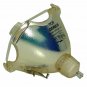 Original Osram Bare Lamp for Epson ELPLP22