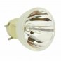 Vivitek 5811119560-SVV Osram Projector Bare Lamp
