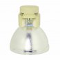 Vivitek 5811119560-SVV Osram Projector Bare Lamp