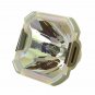 Eiki POA-LMP47 Ushio Projector Bare Lamp