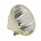 CLARITY (PLANAR) 151-1063 Bare TV Lamp