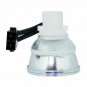 Eiki AH-62101 Phoenix Projector Bare Lamp