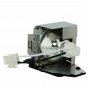 Original Phoenix Projector Lamp With Housing for Infocus SP-LAMP-060