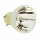Acer CS.5J1YU.001 Osram Projector Bare Lamp