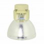 Acer CS.5J1YU.001 Osram Projector Bare Lamp