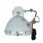 Original Phoenix Bare Projector Lamp for Infocus SP-LAMP-019