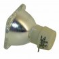Optoma BL-FP200D Philips Projector Bare Lamp