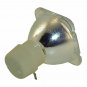 Optoma BL-FP200D Philips Projector Bare Lamp