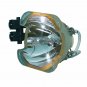 3D Perception 313-400-0184-00 Osram Projector Bare Lamp