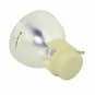 Optoma BL-FP220B Osram Projector Bare Lamp