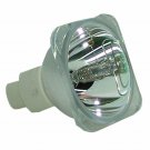 Optoma BL-FP200F Osram Projector Bare Lamp