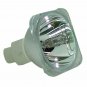 Optoma BL-FP200F Osram Projector Bare Lamp