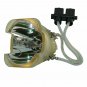 Digital Projection 107-750 Osram Projector Bare Lamp