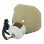 Ushio NSHA250NVA Ushio Projector Bare Lamp