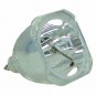 Viewsonic RLC-150-07A Osram Projector Bare Lamp