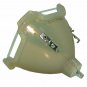 Panasonic ET-SLMP48 Osram Projector Bare Lamp