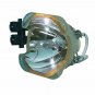 Digital Projection 109-387A Osram Projector Bare Lamp