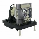 Original Philips Projector Lamp With Housing for Infocus SP-LAMP-082