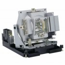 Optoma BL-FS300C Philips Projector Lamp Module
