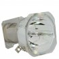 Eiki AH-11201 Phoenix Projector Bare Lamp