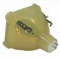 Original Philips Bare Projector Lamp for Infocus SP-LAMP-005