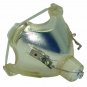 Original Philips Bare Projector Lamp for Infocus SP-LAMP-008
