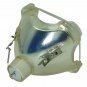 Original Philips Bare Projector Lamp for Infocus SP-LAMP-008