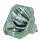Panasonic TY-LA1001 Philips Bare TV Lamp