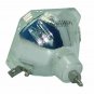 Panasonic TY-LA1001 Philips Bare TV Lamp