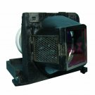 Liesegang 310-6472 Ushio Projector Lamp Module