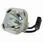 Yokogawa D2200X Ushio Projector Bare Lamp